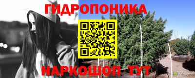 ECSTASY Ливны