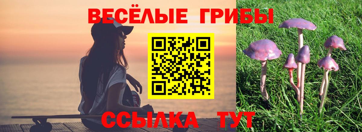 Галлюциногенные грибы Psilocybine cubensis Волжск