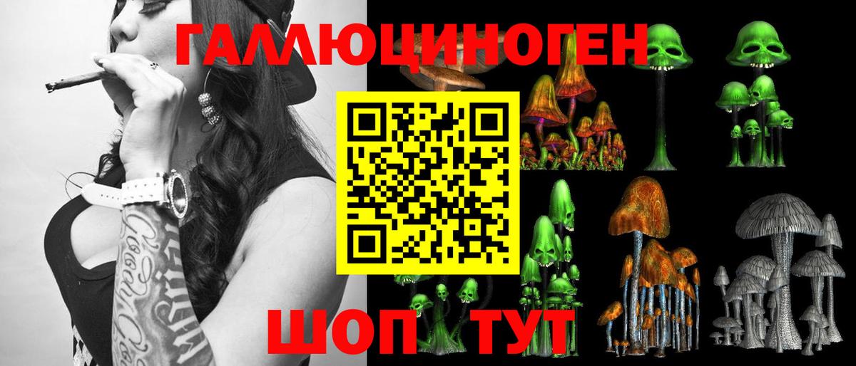 Волжск  Псилоцибиновые грибы GOLDEN TEACHER  Вход с VPN 