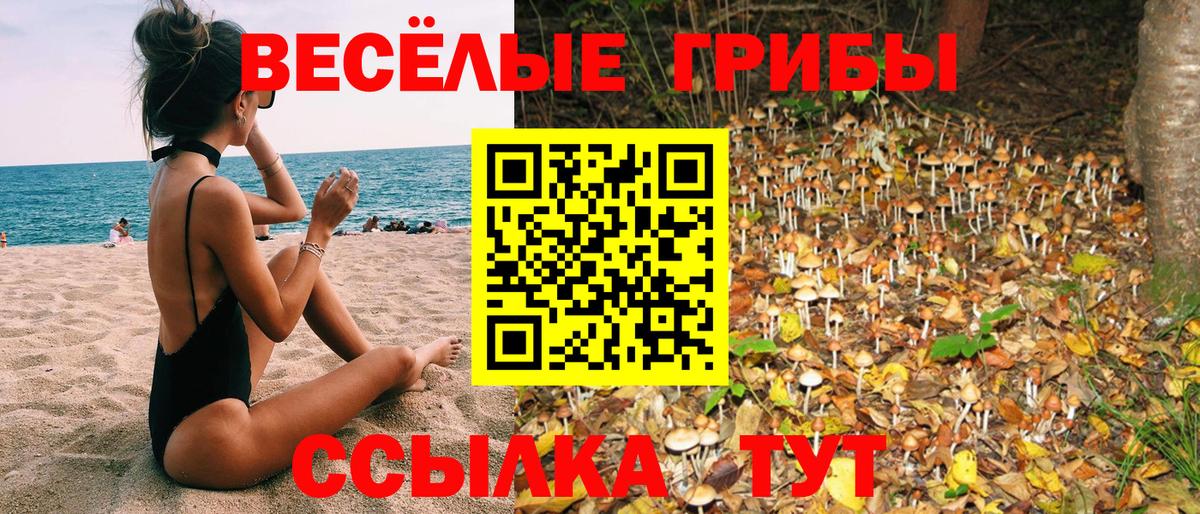 АМФ кристаллы  Cocaine  Мефедрон   Вход с VPN  Каннабис  Волжск  ГАШ  Экстази 